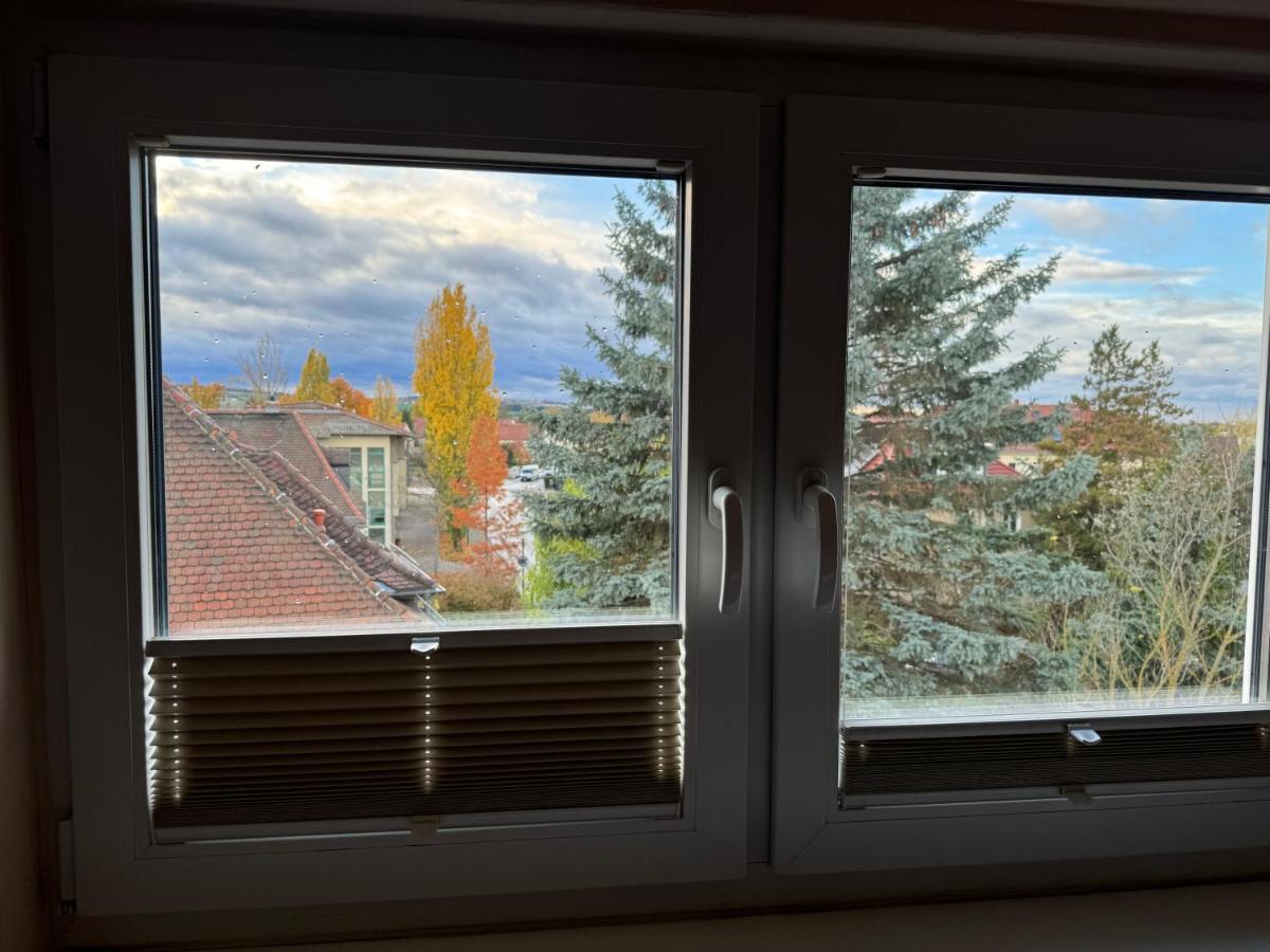 205 Qm "Traumtor" Mit Sauna, Whirlpool, Kamin Und 3 Terrassen Mit Blick In Die Boehmisch Saechsische Schweiz Дрезден Экстерьер фото